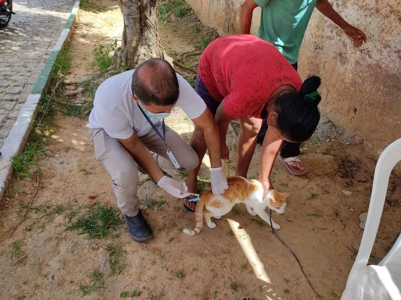 Camacã: Prefeitura realiza campanha de Vacinação antirrábica